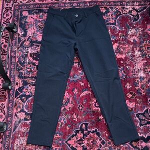 Zara slim fit pants
